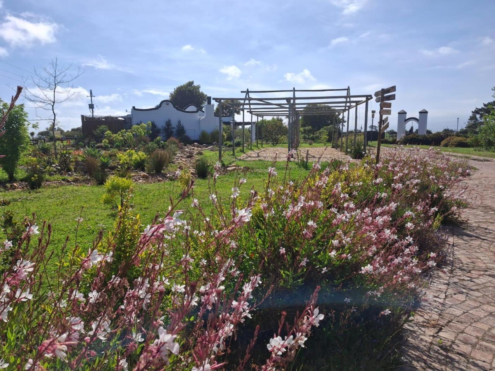 Apartmán Dunkes Organic Equestrian Estate George Exteriér fotografie