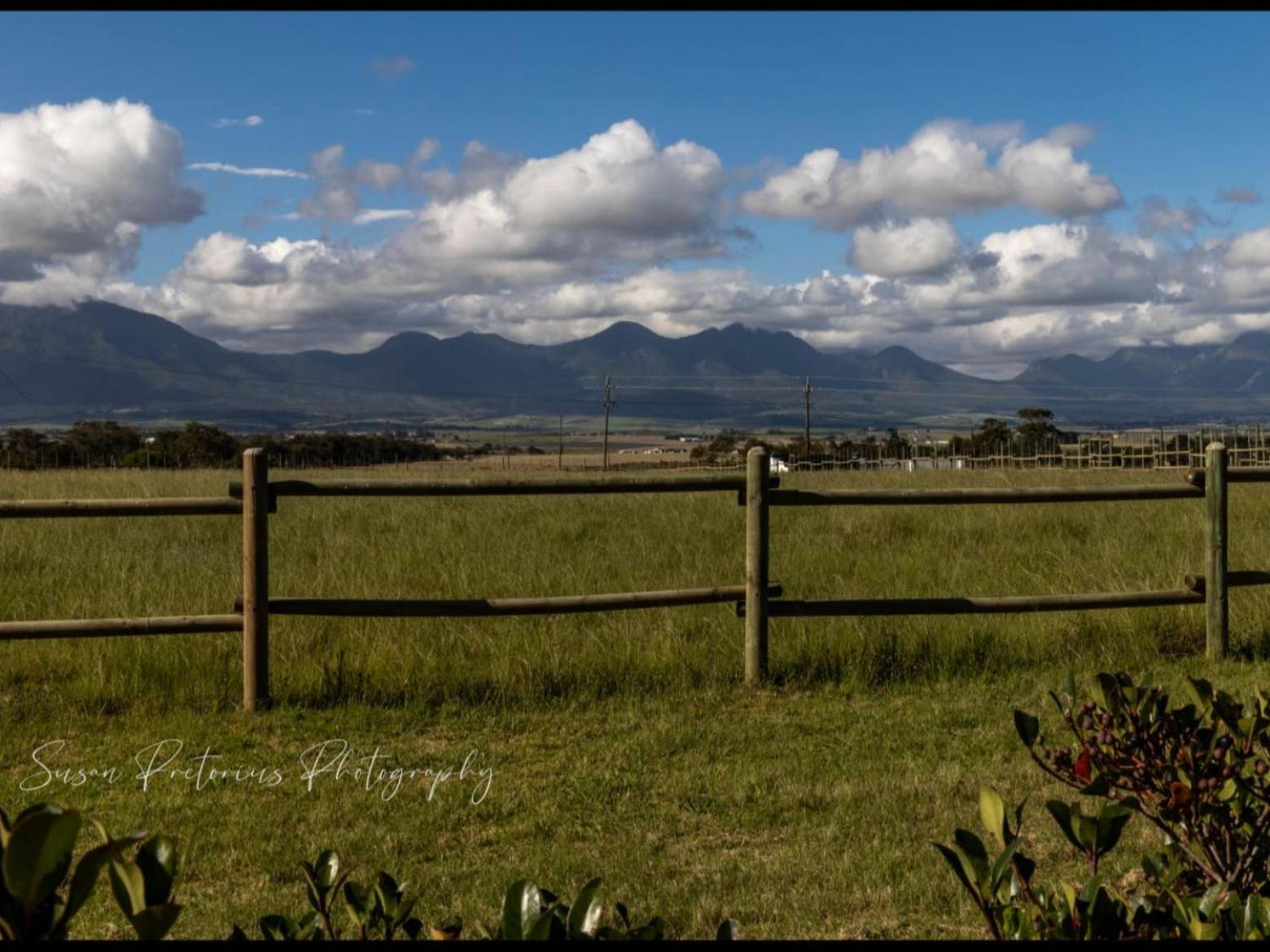 Apartmán Dunkes Organic Equestrian Estate George Exteriér fotografie